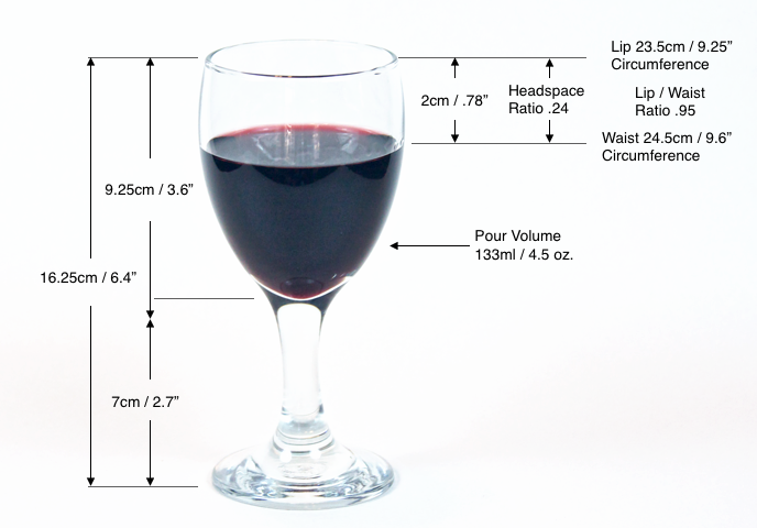 What sort of wine glasses should you buy?